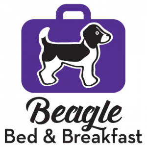 Beagle Bed and Breakfast Blog